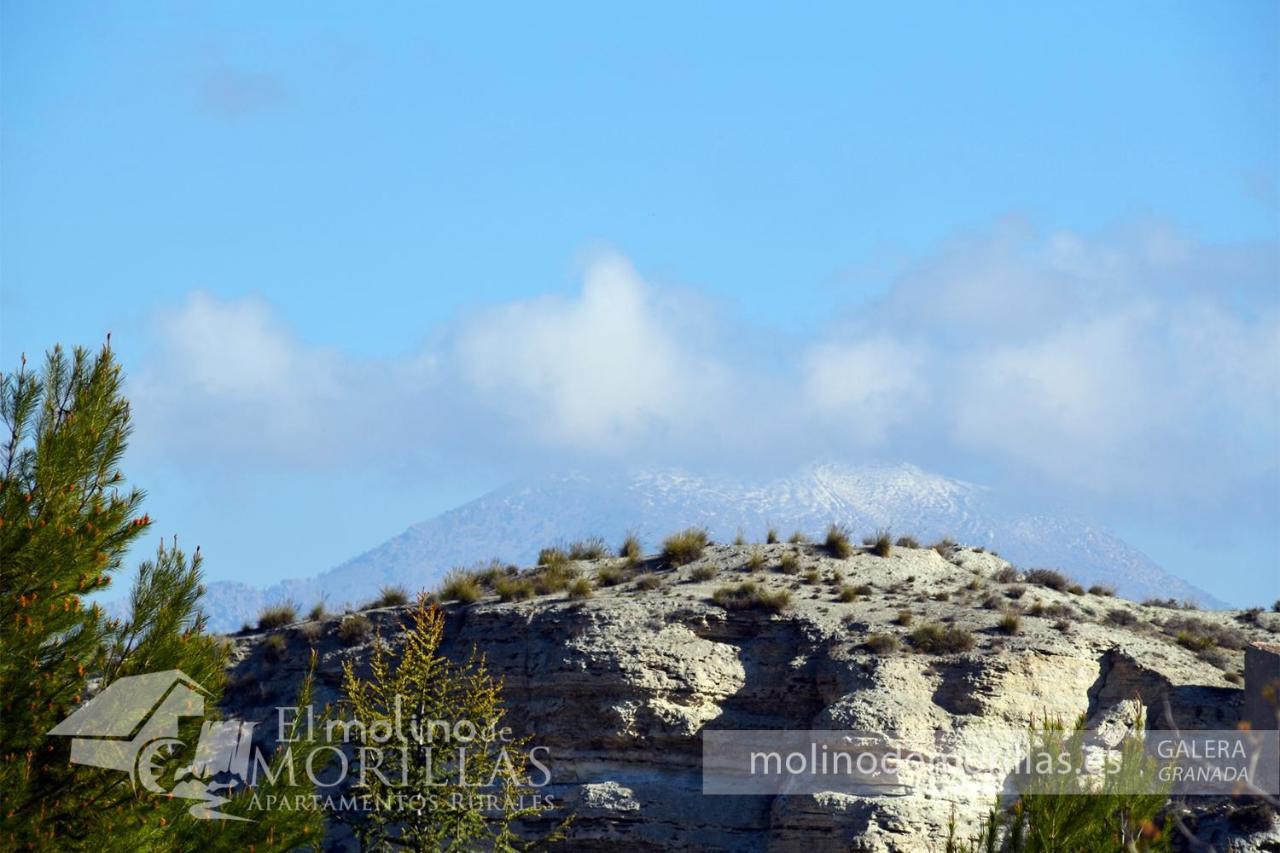 Apartamentos Rurales El Molino De Morillas Galera Bagian luar foto